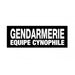 BANDEAU GENDARMERIE - Insigne réfléchissant-Patrol Equipement-Blanc-Gendarmerie Equipe Cynophile-3 X 10 cm-Welkit