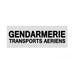 BANDEAU GENDARMERIE - Insigne réfléchissant-Patrol Equipement-Blanc-Gendarmerie Transports Aériens-3 X 10 cm-Welkit