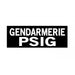BANDEAU GENDARMERIE - Insigne réfléchissant-Patrol Equipement-Noir-Gendarmerie PSIG-3 X 10 cm-Welkit